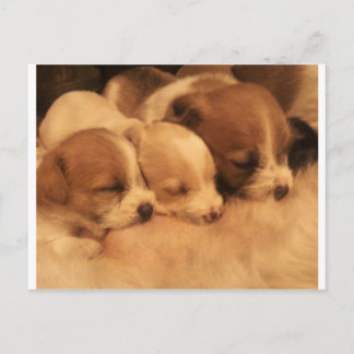 moeders liefde briefkaart