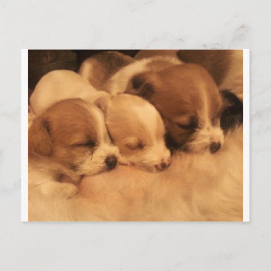 moeders liefde briefkaart (Voorkant)