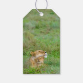 Moeder's Liefde Leeuwin & Baby Gift Label Cadeaulabel (Voorkant)