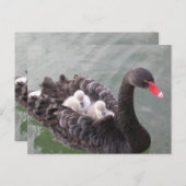 Moeders Liefde Postkaart (Voorkant / Achterkant)