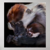 Moeders Love Poster (Voorkant)