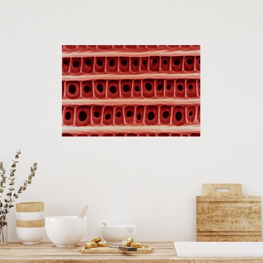 Moederschaal Poster (Keuken)