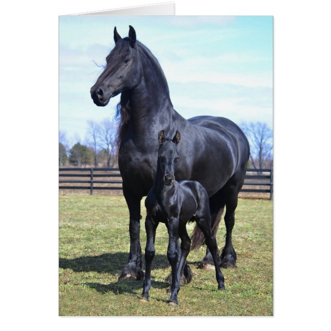 Moederschap (Voorkant)