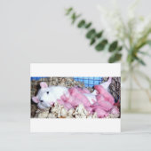 Moederschap Briefkaart (Staand voorkant)