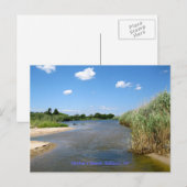 Moederstrand, Bellport NY Briefkaart (Voorkant / Achterkant)