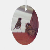 Moedervogel met Baby vogels op nestfoto Metalen Ornament (Voorkant Rechts)