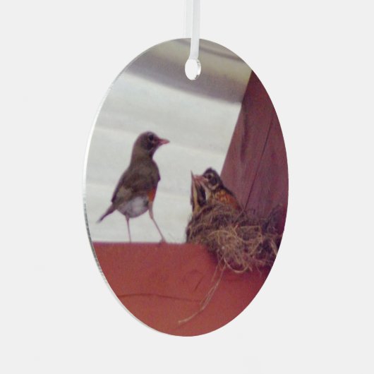 Moedervogel met Baby vogels op nestfoto Metalen Ornament (Voorkant Rechts)