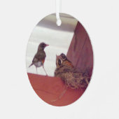 Moedervogel met Baby vogels op nestfoto Metalen Ornament (Voorkant links)