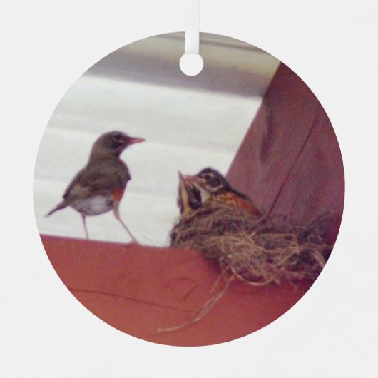 Moedervogel met Baby vogels op nestfoto Metalen Ornament (Voorkant)