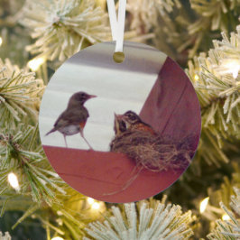 Moedervogel met Baby vogels op nestfoto Metalen Ornament