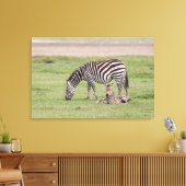 Moederzebra met pasgeboren veulen canvas afdruk (Insitu (Woonkamer))