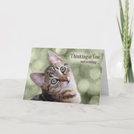 Moedig denken aan je Tabby Kitten Kaart