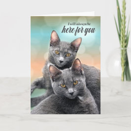 Moedig hier twee grijze katten voor u aan kaart