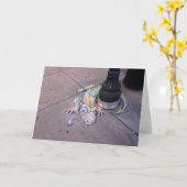 Moedige Muis van kaart Ferndale (Gele Bloem)