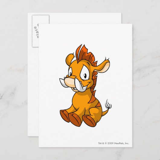 Moehog Sinaasappel Briefkaart (Voorkant / Achterkant)