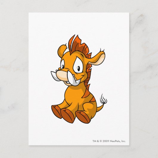 Moehog Sinaasappel Briefkaart (Voorkant)