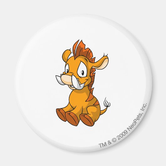 Moehog Sinaasappel Magneet (Voorkant)