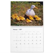 Moeie Baby Eenden 2027 Muur   Kalender (Feb 2027)