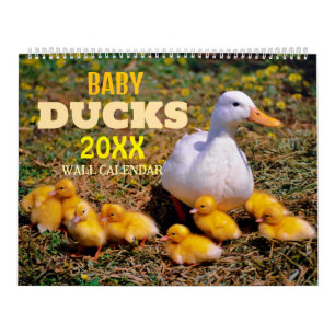 Moeie Baby Eenden 2027 Muur Kalender