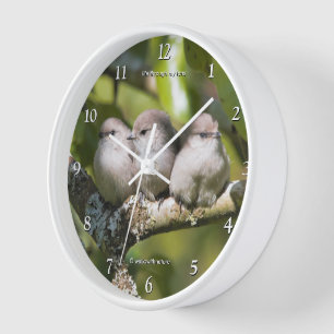 Moeie Baby Struikmees Zangvogels in de Perenboom