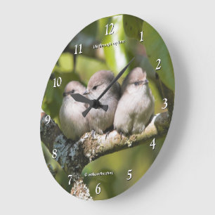 Moeie Baby Struikmees Zangvogels in de Perenboom Grote Klok