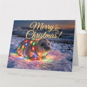 Moeie babyzeehond gewikkeld in kerstlichtjes kaart