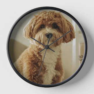 Moeie hond klok