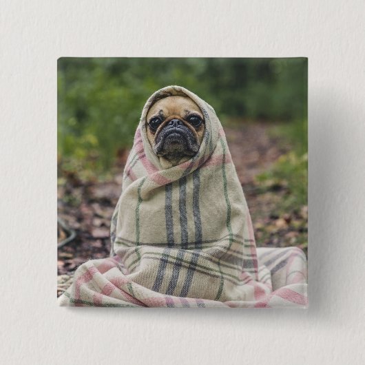 Moeie hond knop 2 vierkante button 5,1 cm (Voorkant)