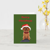 Moeie Hond met Kerstmuts Kaart (Gele Bloem)