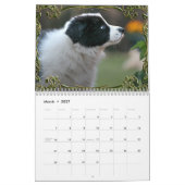 Moeie Hond Puppy Naar Volwassenheid Kerstmis Kalender (Mar 2027)