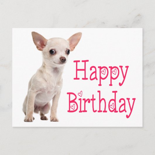 Moeie Hondenbaby Grappige Chihuahua Verjaardag Briefkaart (Voorkant)
