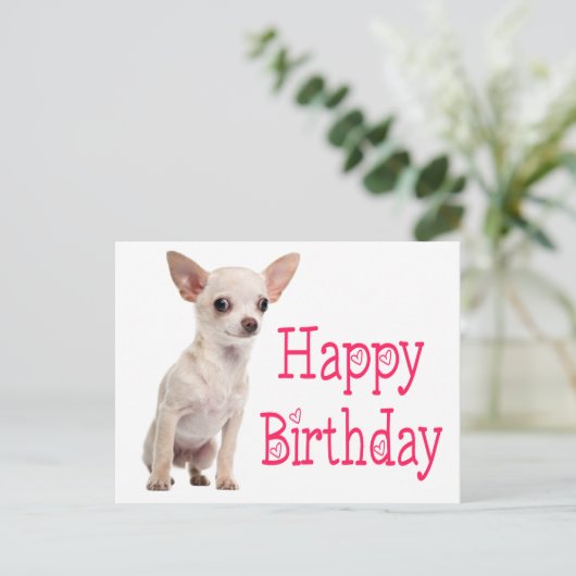Moeie Hondenbaby Grappige Chihuahua Verjaardag Briefkaart (Staand voorkant)