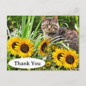 Moeie kat en zonnebloemen bedankkaart briefkaart (Voorkant)