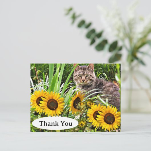 Moeie Kat en Zonnebloemen Dank je wel Ansichtkaart Briefkaart (Staand voorkant)