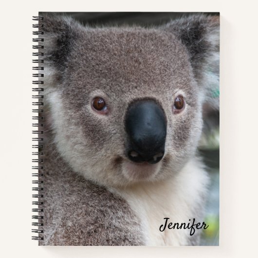 Moeie Koala Beer Spiraal Notebook Notitieboek (Voorkant)