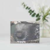 Moeie Stekelvarken Gezicht DIY Gefeliciteerd Kaart (Staand voorkant)