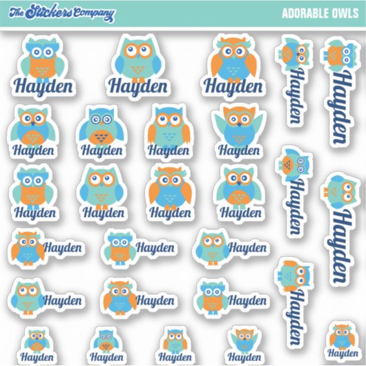 Moeie Uilen Op Maat Gemaakte Naamlabels | School Sticker (Voorkant)