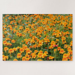 Moeilijk gebied van de Marigold Flowers Legpuzzel