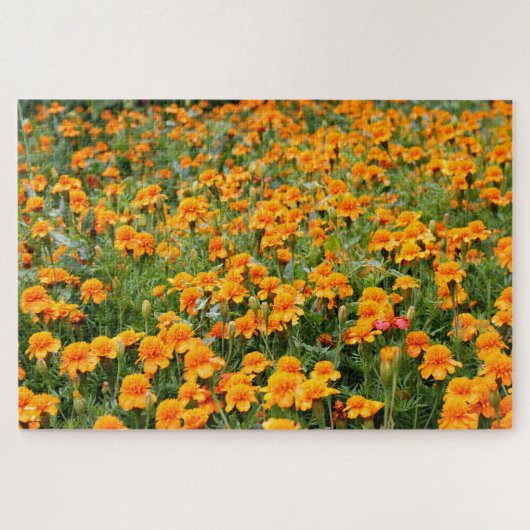 Moeilijk gebied van de Marigold Flowers Legpuzzel (Horizontaal)