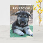 Moeilijke Hond Poten Neer Vaderdag Kaart (Gele Bloem)