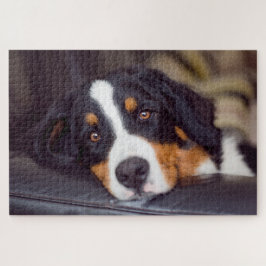 Moeilijke huisdieren 20 x 30 inch legpuzzel