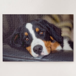Moeilijke huisdieren 20 x 30 inch legpuzzel