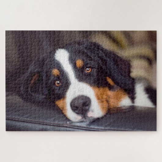 Moeilijke huisdieren 20 x 30 inch legpuzzel (Horizontaal)