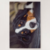 Moeilijke huisdieren 20 x 30 inch legpuzzel (Verticaal)