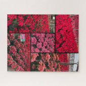 Moeilijke Kerst Poinsettia's 500 stukjes Legpuzzel (Horizontaal)