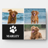 Moeilijke Moderne Hond Liefhebber Poot 3 Foto Coll Fotoplaat (voorkant)