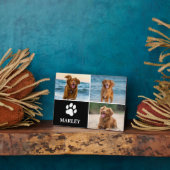 Moeilijke Moderne Hond Liefhebber Poot 3 Foto Coll Fotoplaat (Zijkant)