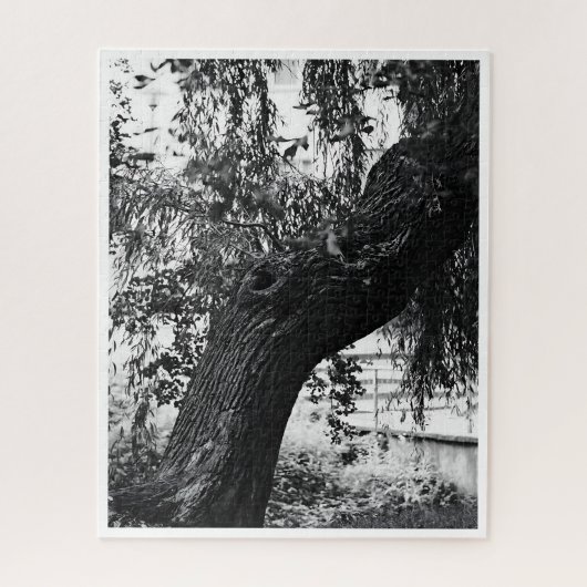 Moeilijke monochrome Natuur fotografie Legpuzzel (Verticaal)