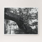 Moeilijke monochrome Natuur fotografie Legpuzzel (Horizontaal)