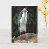 Moeilijke oude Bird Verjaardag Kaart (Gele Bloem)